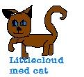 aslittlecloud.jpg image by _leafcloud_
